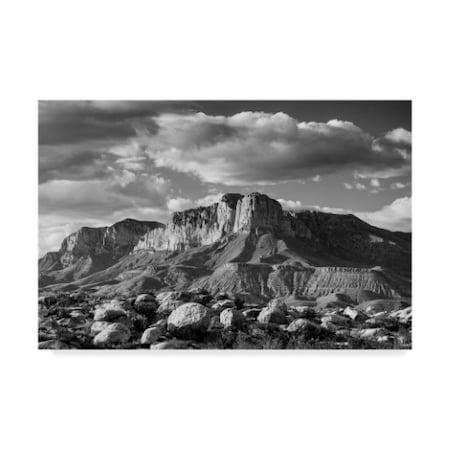 Michael Blanchette Photography 'Guadalupe Monochrome' Canvas Art,12x19